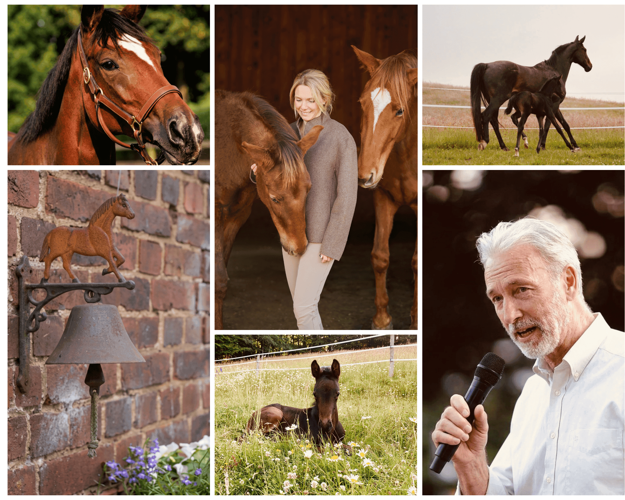 Eindrücke aus dem Reitsport- und Kanzleialltag von HUF LAW